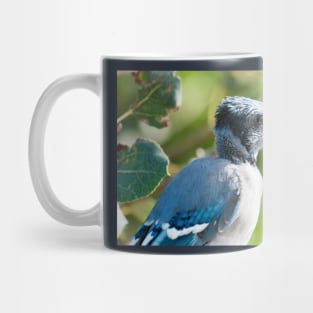 A Beak Full Mug